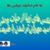 عکس-های-زیبا-از-حیات-وحش