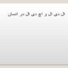 ال-دی-ال-و-اچ-دی-ال-در-انسان