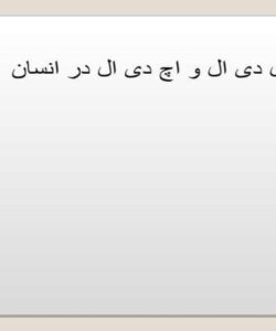 ال-دی-ال-و-اچ-دی-ال-در-انسان