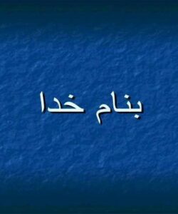 الگوریتم-مورچگان