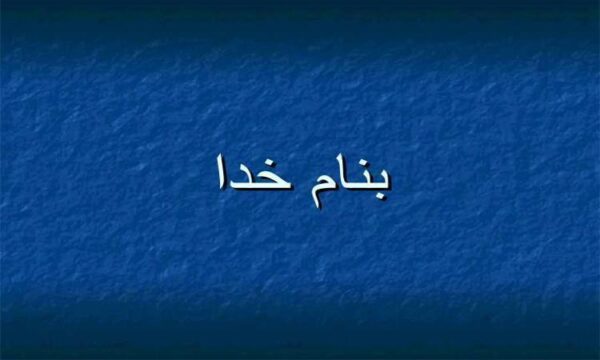 الگوریتم-مورچگان