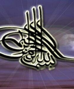 امنیت-غذایی-و-مایکوتوکسین-ها