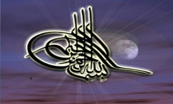 امنیت-غذایی-و-مایکوتوکسین-ها
