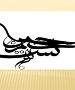 اناتومی-مقایسه