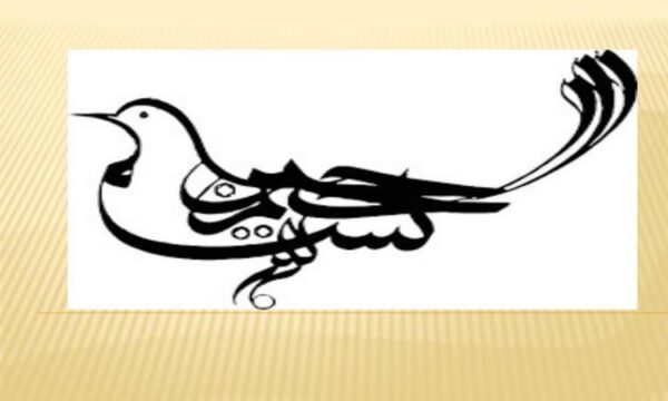 اناتومی-مقایسه