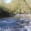 تربیت-بدنی-و-عوامل-موثر