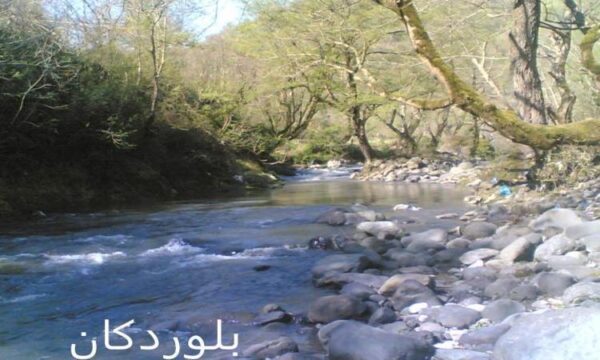 تربیت-بدنی-و-عوامل-موثر