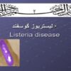 پاورپوینت-لیستریوز-گوسفند