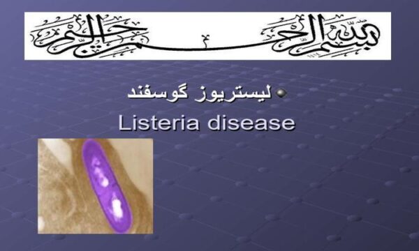 پاورپوینت-لیستریوز-گوسفند