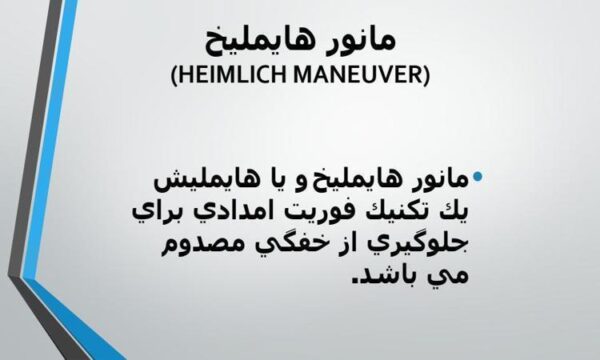 پاورپوینت-مانور-هایملیخ