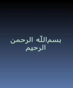 پاورپوینت-کیس-دوم