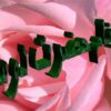چشم-و-بينايي