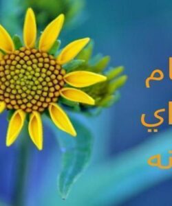تئوریهای-رهبری