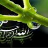 اکتشاف-ژئوشیمیایی-ذخایر-پلاسری-طلا-و-مونازیت-در-شمال-شهرستان-خمین