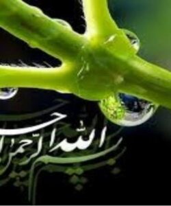 اکتشاف-ژئوشیمیایی-ذخایر-پلاسری-طلا-و-مونازیت-در-شمال-شهرستان-خمین