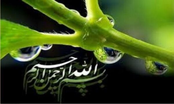 اکتشاف-ژئوشیمیایی-ذخایر-پلاسری-طلا-و-مونازیت-در-شمال-شهرستان-خمین