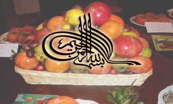 فیزیولوژی-درختان-میوه