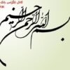 فیزیولوژی-و-آناتومی-ناحیه-تناسلی-زنان
