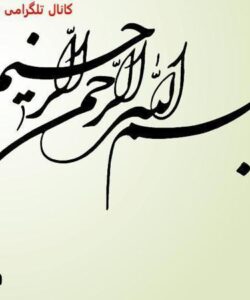 فیزیولوژی-و-آناتومی-ناحیه-تناسلی-زنان