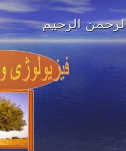 فیزیولوژی-وافات-زیتون