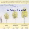 فیزیولوژی-پایه-ها
