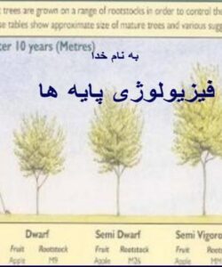 فیزیولوژی-پایه-ها