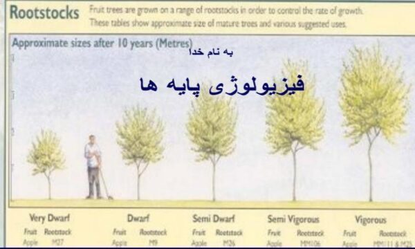 فیزیولوژی-پایه-ها